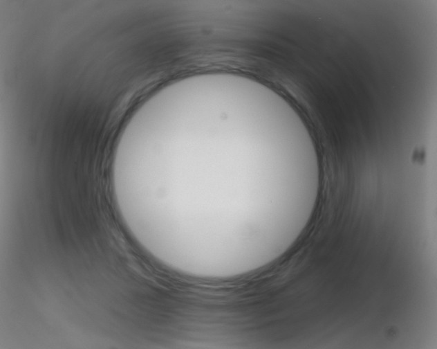 X0000116790407200912181059