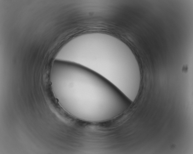 X0000116790408200912181059