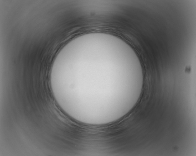 X0000116790409200912181059
