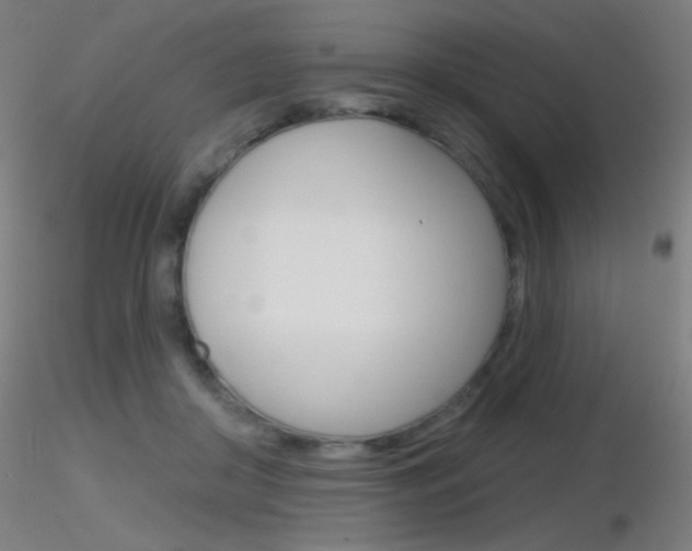 X0000116790410200912181059