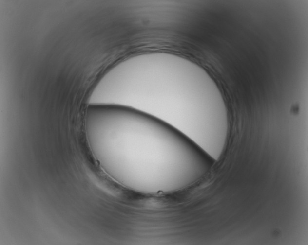 X0000116790412200912181059