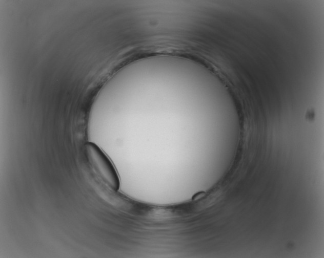 X0000116790413200912181059