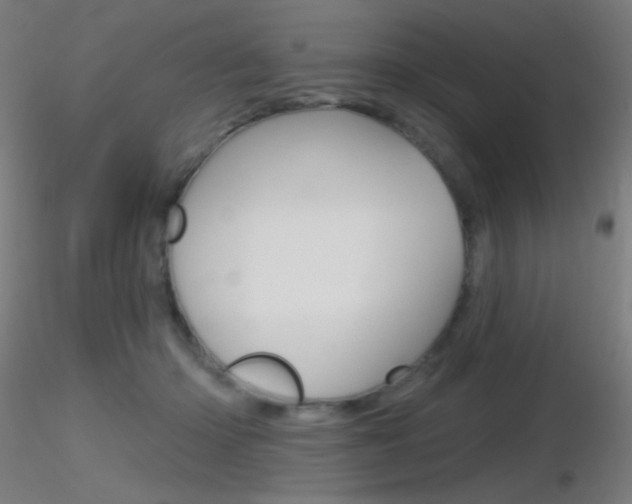 X0000116790414200912181059