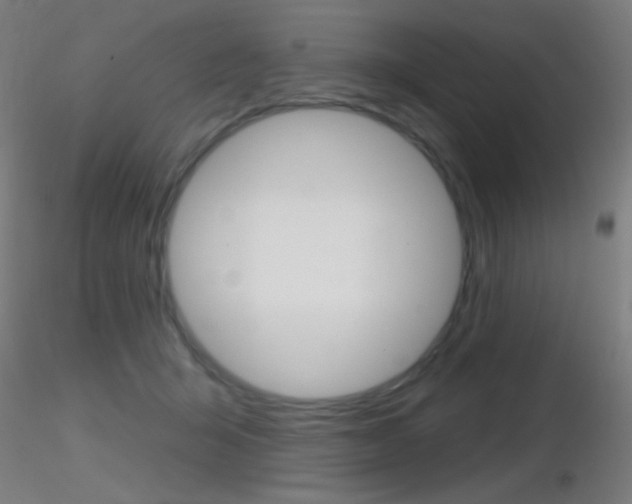 X0000116790415200912181059