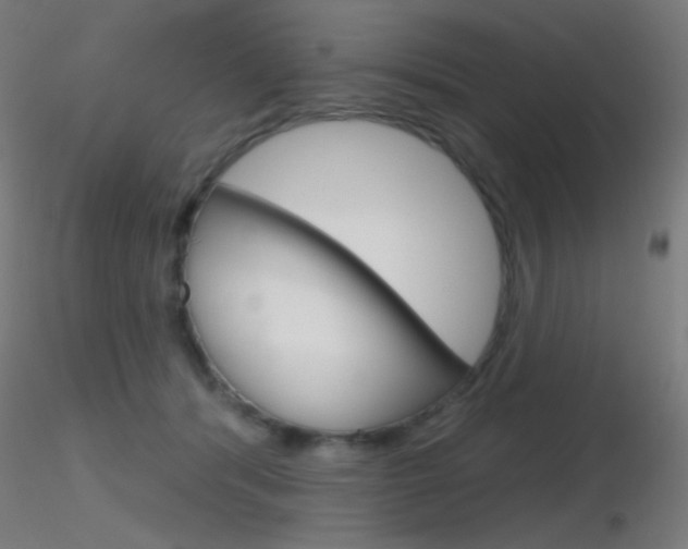 X0000116790416200912181059
