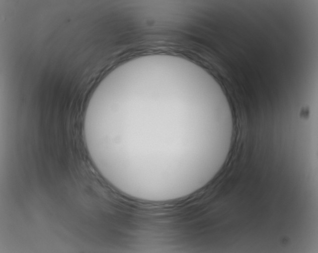 X0000116790417200912181059