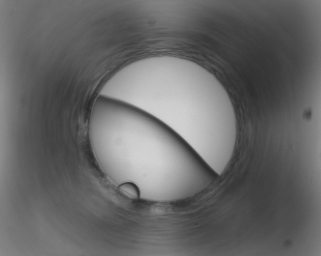 X0000116790420200912181059