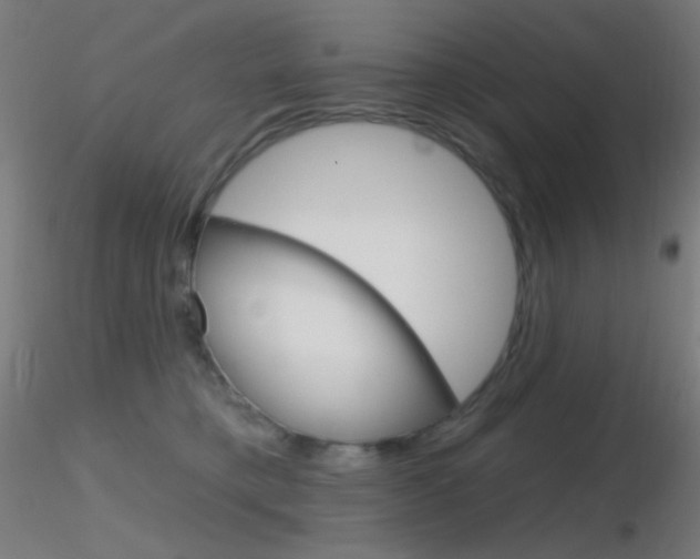 X0000116790421200912181059