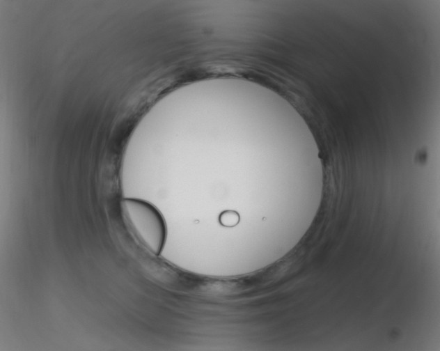 X0000116790422200912181059