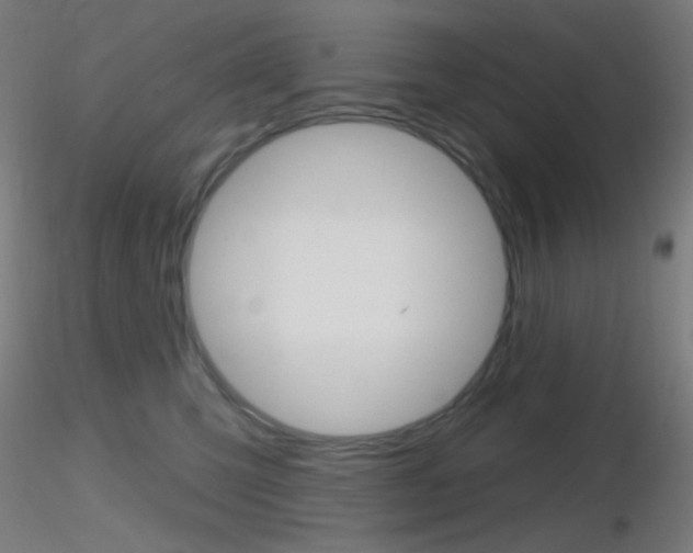 X0000116790423200912181059