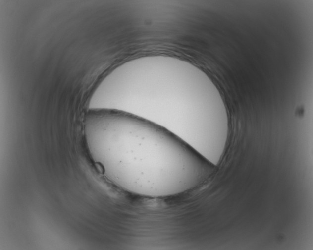X0000116790424200912181059