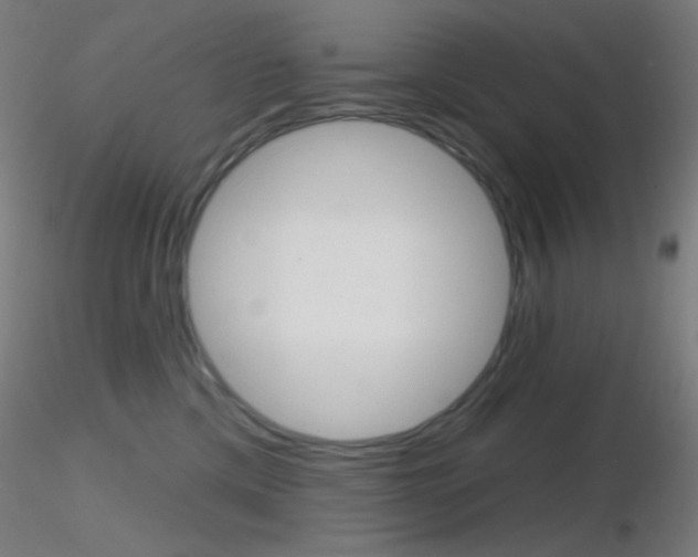 X0000116790425200912181059