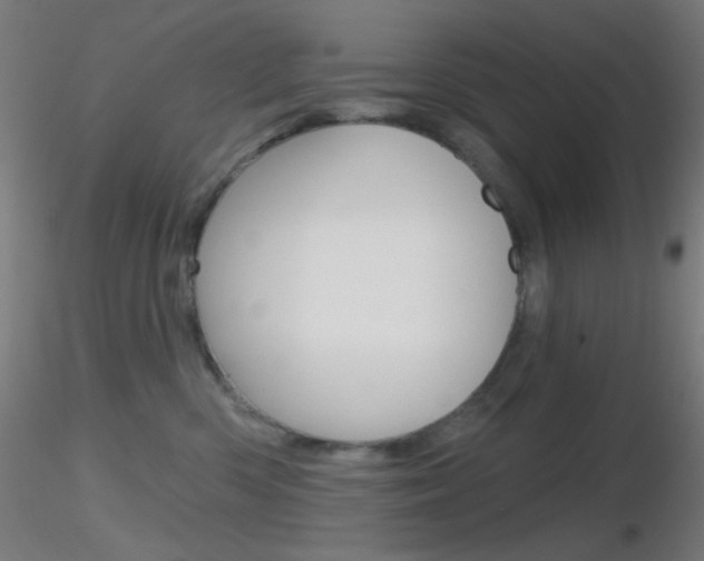 X0000116790426200912181059