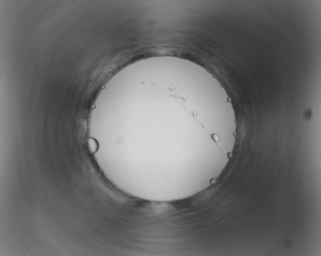 X0000116790427200912181059