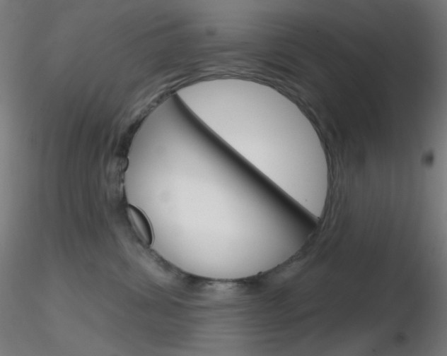X0000116790428200912181059