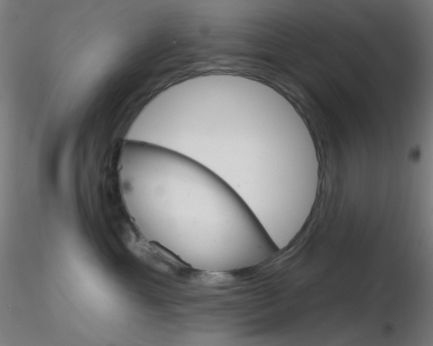 X0000116790429200912181059