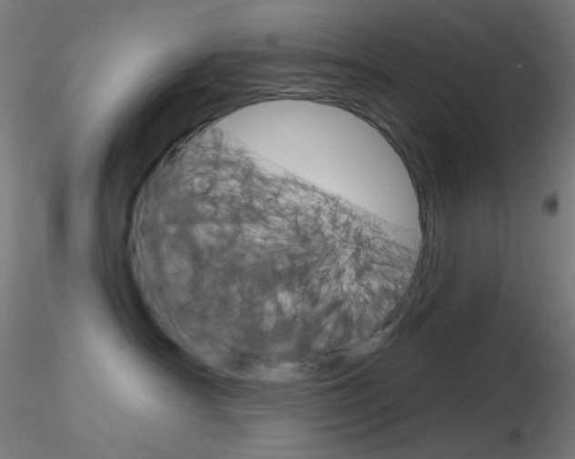 X0000116790430200912181059