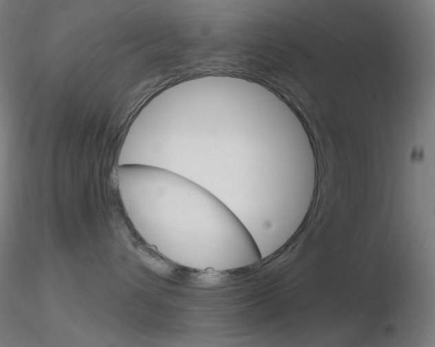X0000116790432200912181059
