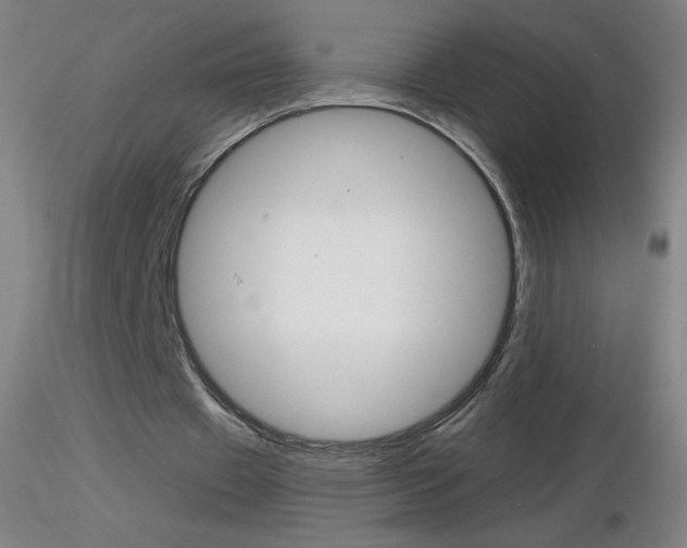 X0000116790433200912181058