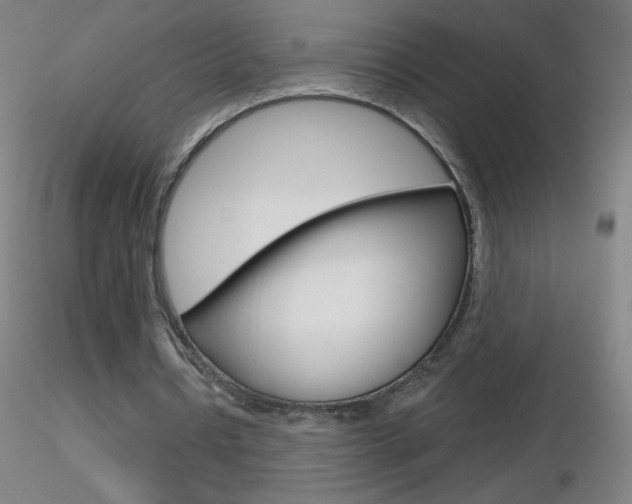 X0000116790434200912181058