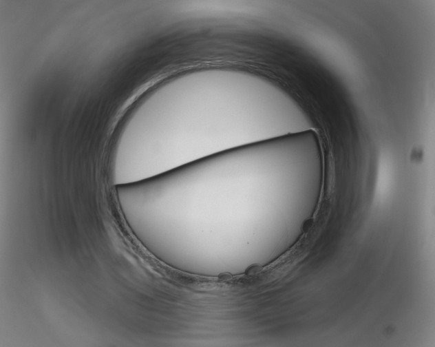 X0000116790435200912181058