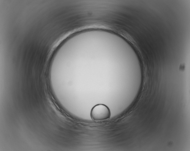 X0000116790436200912181058