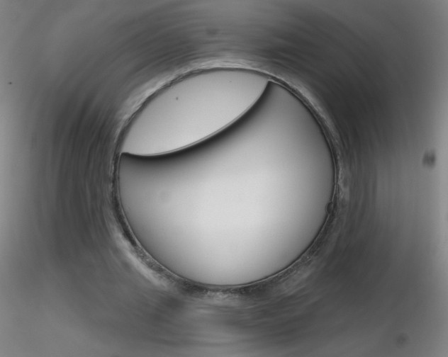 X0000116790437200912181058