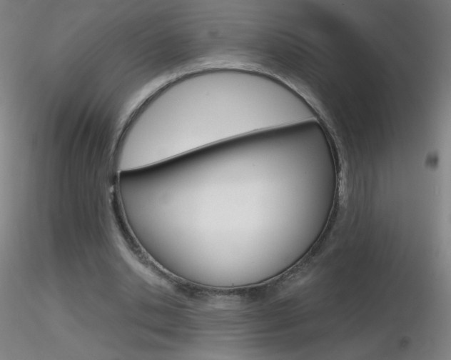 X0000116790438200912181058