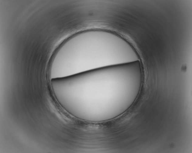 X0000116790439200912181058