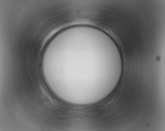 X0000116790440200912181058