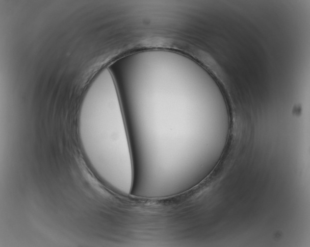 X0000116790441200912181058