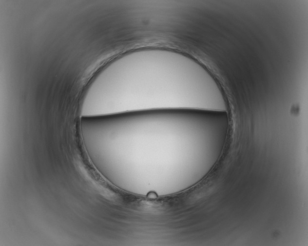 X0000116790442200912181058