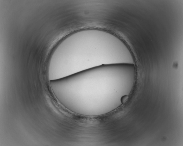 X0000116790443200912181058