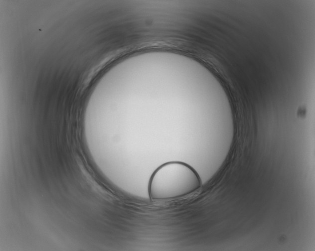 X0000116790444200912181058