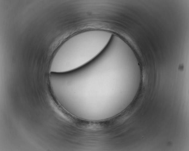 X0000116790445200912181058