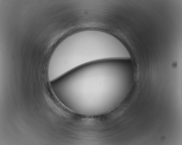 X0000116790448200912181058