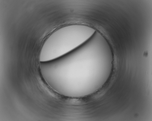 X0000116790449200912181058