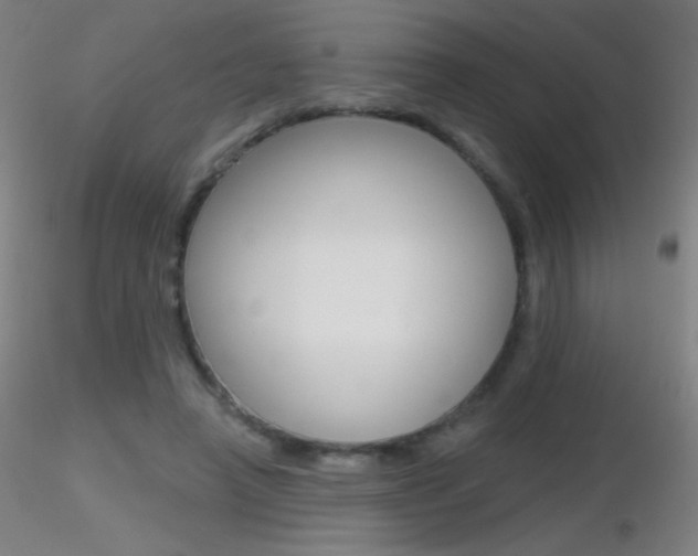 X0000116790450200912181058