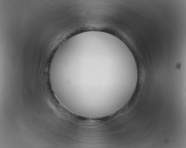 X0000116790451200912181058