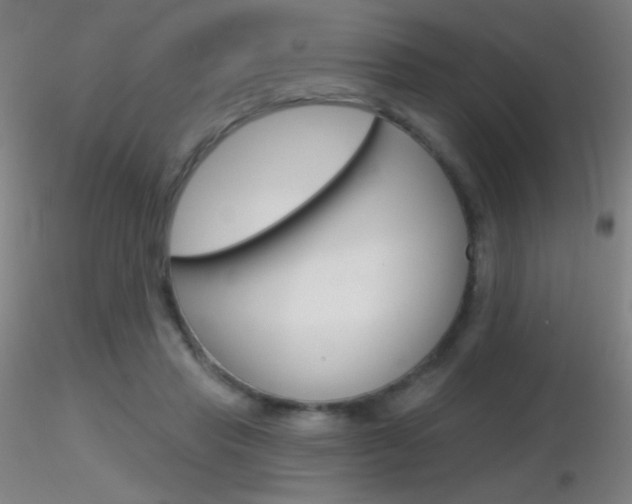X0000116790453200912181058