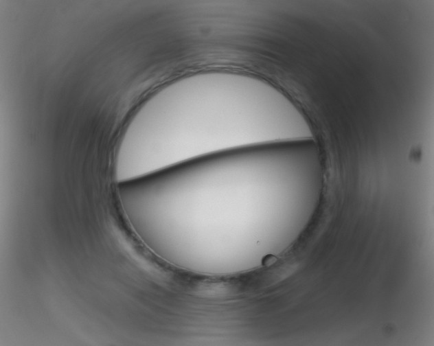 X0000116790454200912181058