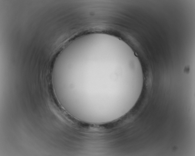 X0000116790455200912181058