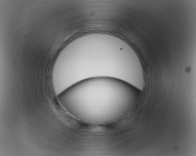 X0000116790456200912181058
