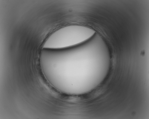X0000116790458200912181058