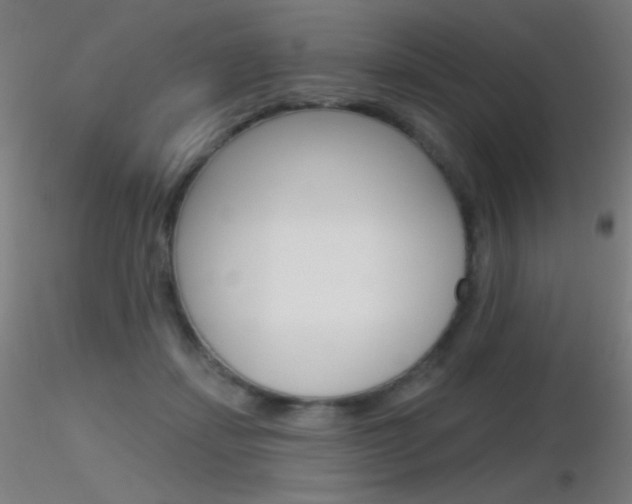 X0000116790459200912181058