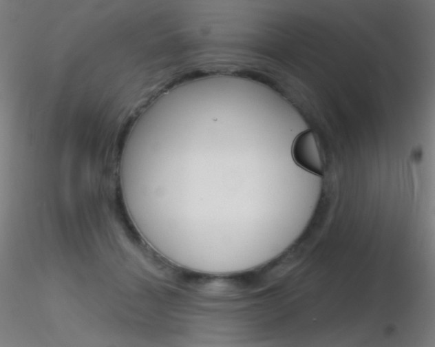 X0000116790460200912181059