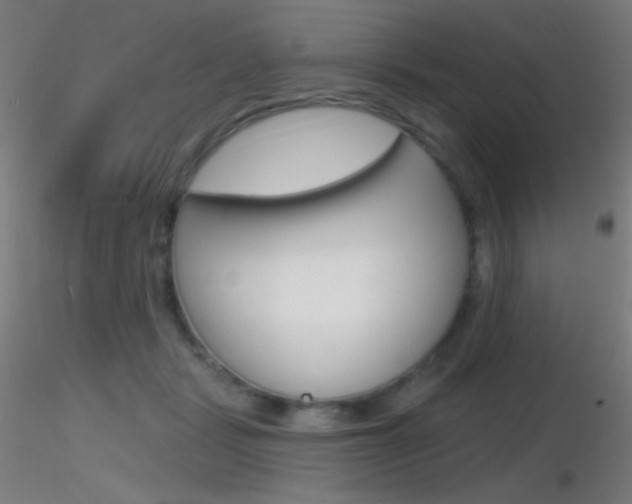 X0000116790461200912181059