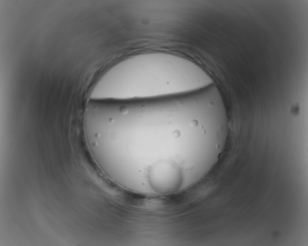 X0000116790462200912181059