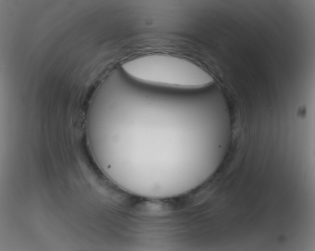 X0000116790464200912181059