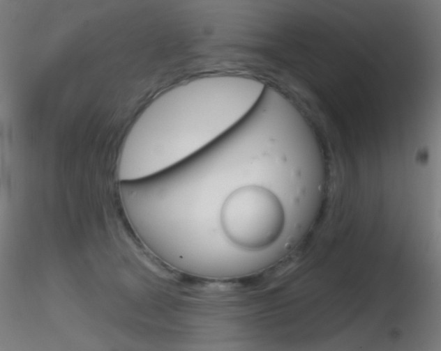 X0000116790465200912181059